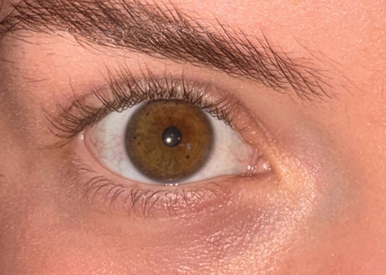 Herb Dock eye scan